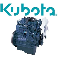 Kubota D1005
