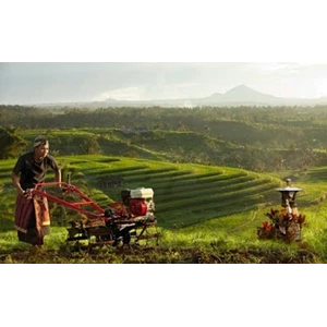 Traktor Pertanian Kunci Utama untuk Meningkatkan Produktivitas dan Efisiensi di Sektor Pertanian